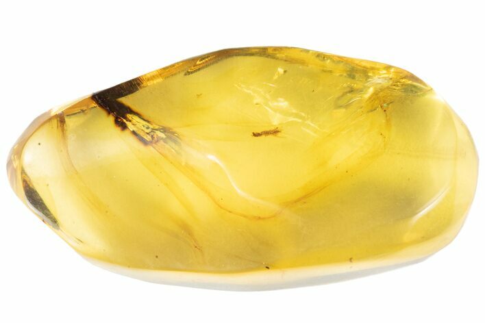 Polished Amber With Detailed Fossil Fly ( g) - Mexico #102480